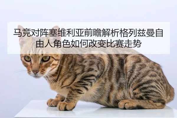 马竞对阵塞维利亚前瞻解析格列兹曼自由人角色如何改变比赛走势