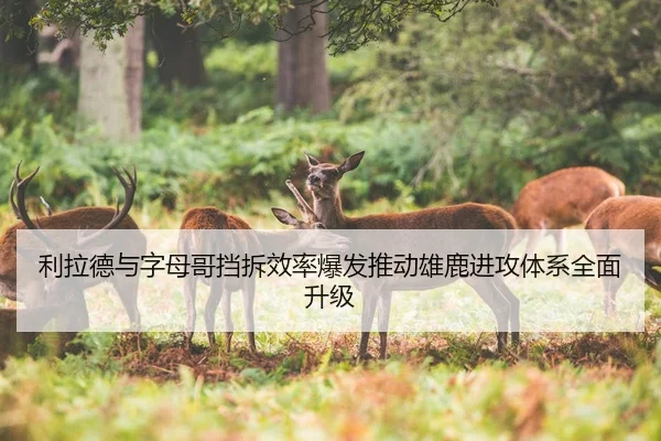 利拉德与字母哥挡拆效率爆发推动雄鹿进攻体系全面升级