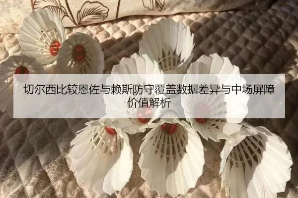 切尔西比较恩佐与赖斯防守覆盖数据差异与中场屏障价值解析（kaiyun）